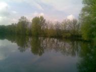 Кошляки з panoramio.com