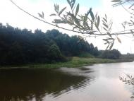 Дережичі з panoramio.com