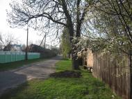 Лебедівка з panoramio.com