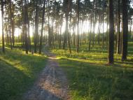 Карасиха з panoramio.com