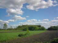 Привільне з panoramio.com