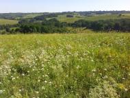 Головківка з panoramio.com