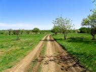 Садовий з panoramio.com