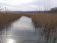 Слобода-Межирівська з panoramio.com