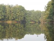 Гмирянка з panoramio.com