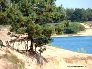 Єлизаветівка з panoramio.com