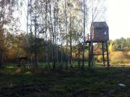 Савенки з panoramio.com