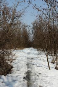 Лучки - Останні фото