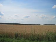 Дружба з panoramio.com