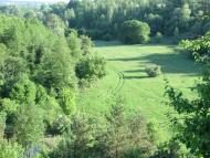 Ротовка - Последние фото