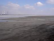 Свистунове з panoramio.com