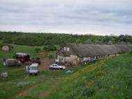 Нові Бутори з panoramio.com