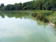 Слободище з panoramio.com