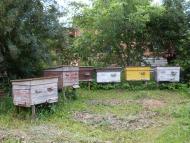 Баламутівка з panoramio.com