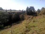 Карпи з panoramio.com