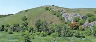 Русько-Орлівка з panoramio.com - Русско-Орловка