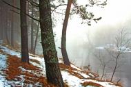Лопатичі з panoramio.com