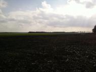 Долгенькое - Последние фото