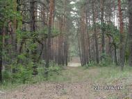 Скрипаї з panoramio.com