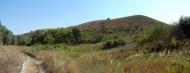 Берегове з panoramio.com
