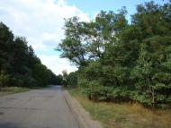 Черкаський Бишкин з panoramio.com