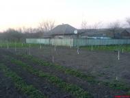 Вітрянка з panoramio.com