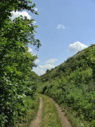 Русько-Орлівка з panoramio.com - Русско-Орловка