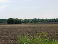 Людвинівка з panoramio.com