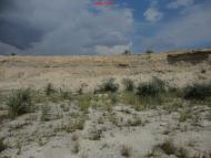 Жовтокам'янка з panoramio.com