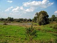 Адамчуки з panoramio.com