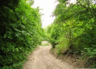 Ворон з panoramio.com