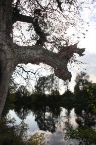 Курган з panoramio.com