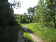 Привітне з panoramio.com