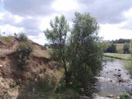 Троща з panoramio.com