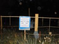 Соцзмагання з panoramio.com