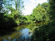 Ротівка з panoramio.com