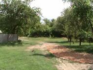 Войкове з panoramio.com