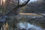 Щурівка з panoramio.com