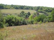 Маслії з panoramio.com