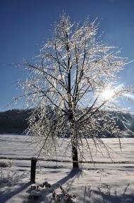 Крехів з panoramio.com