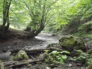 Кічерели з panoramio.com