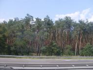 Мала Олександрівка з panoramio.com