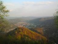 Вільхівчик - Останні фото