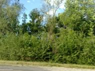 Підгірне з panoramio.com