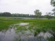 Курган з panoramio.com