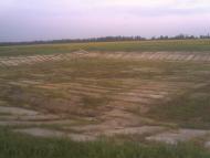 Черняки з panoramio.com