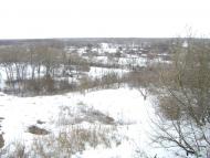 Білики з panoramio.com