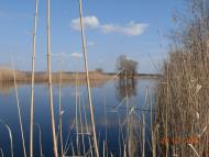 Гупалівка з panoramio.com