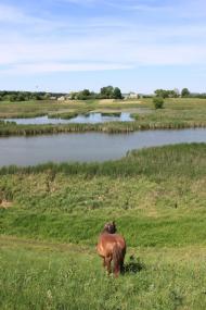 Слободище з panoramio.com