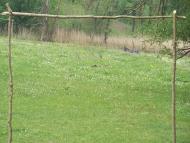 Лозова з panoramio.com